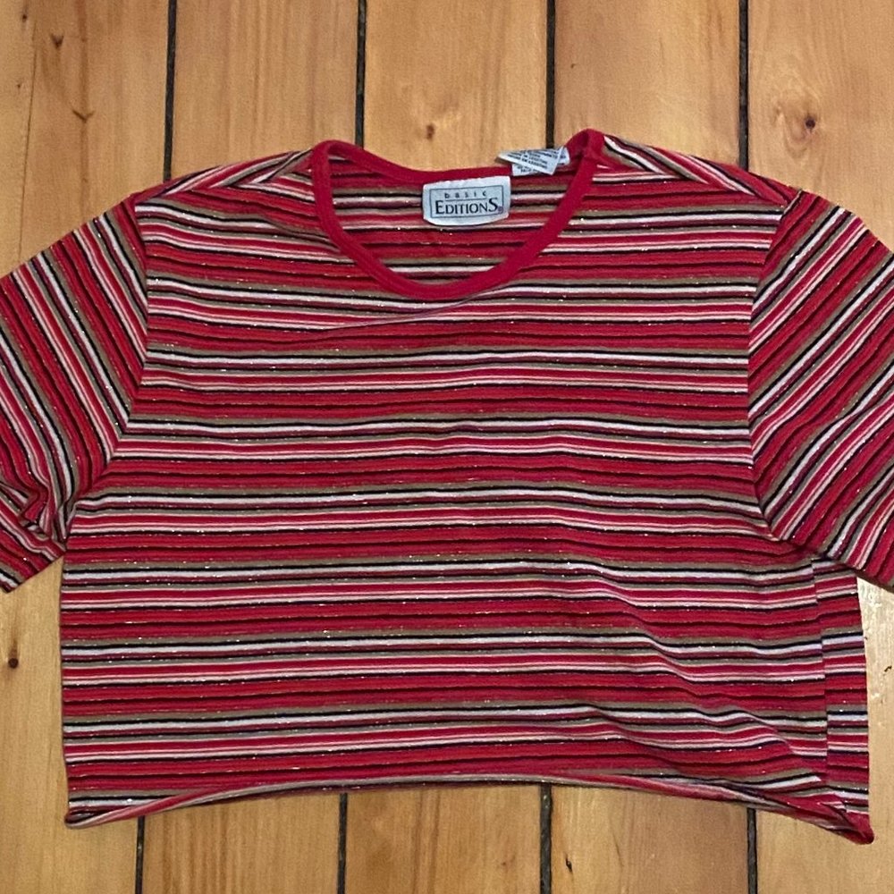 sparkly striped vintage crop top